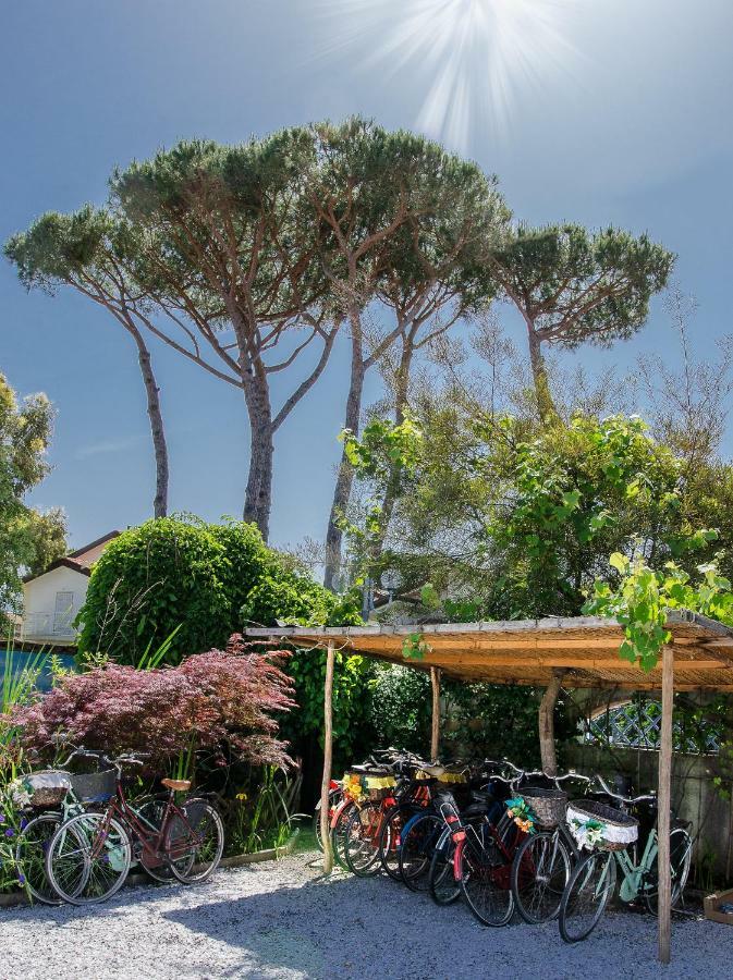 Due Passi Dal Mare Bed & Breakfast